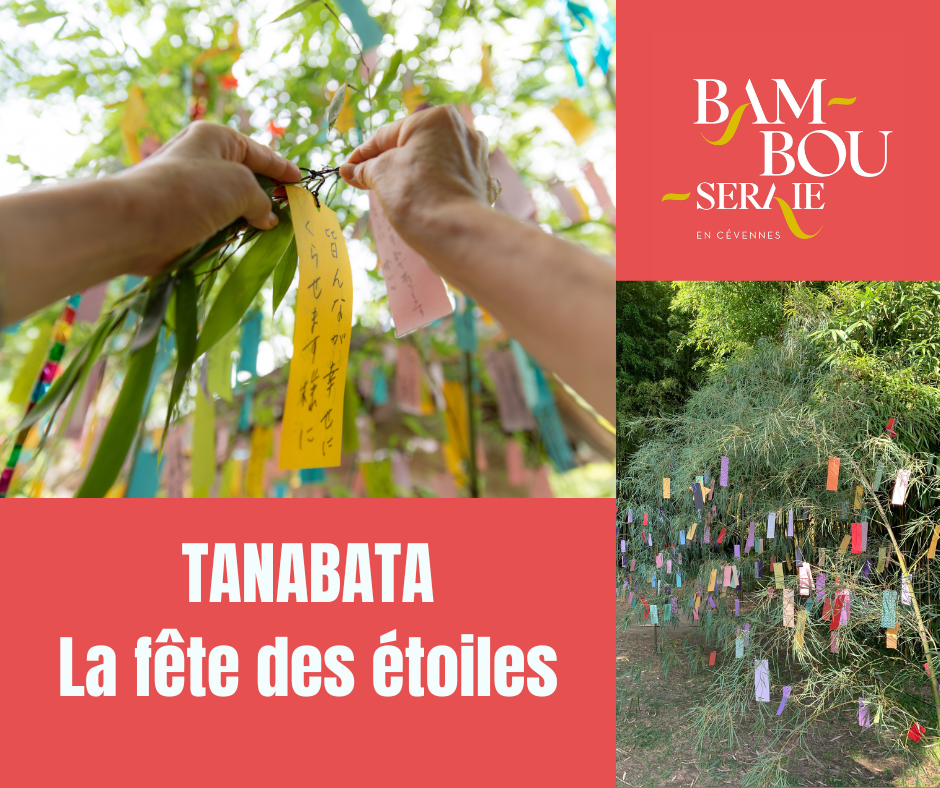 Affiche TANABATA