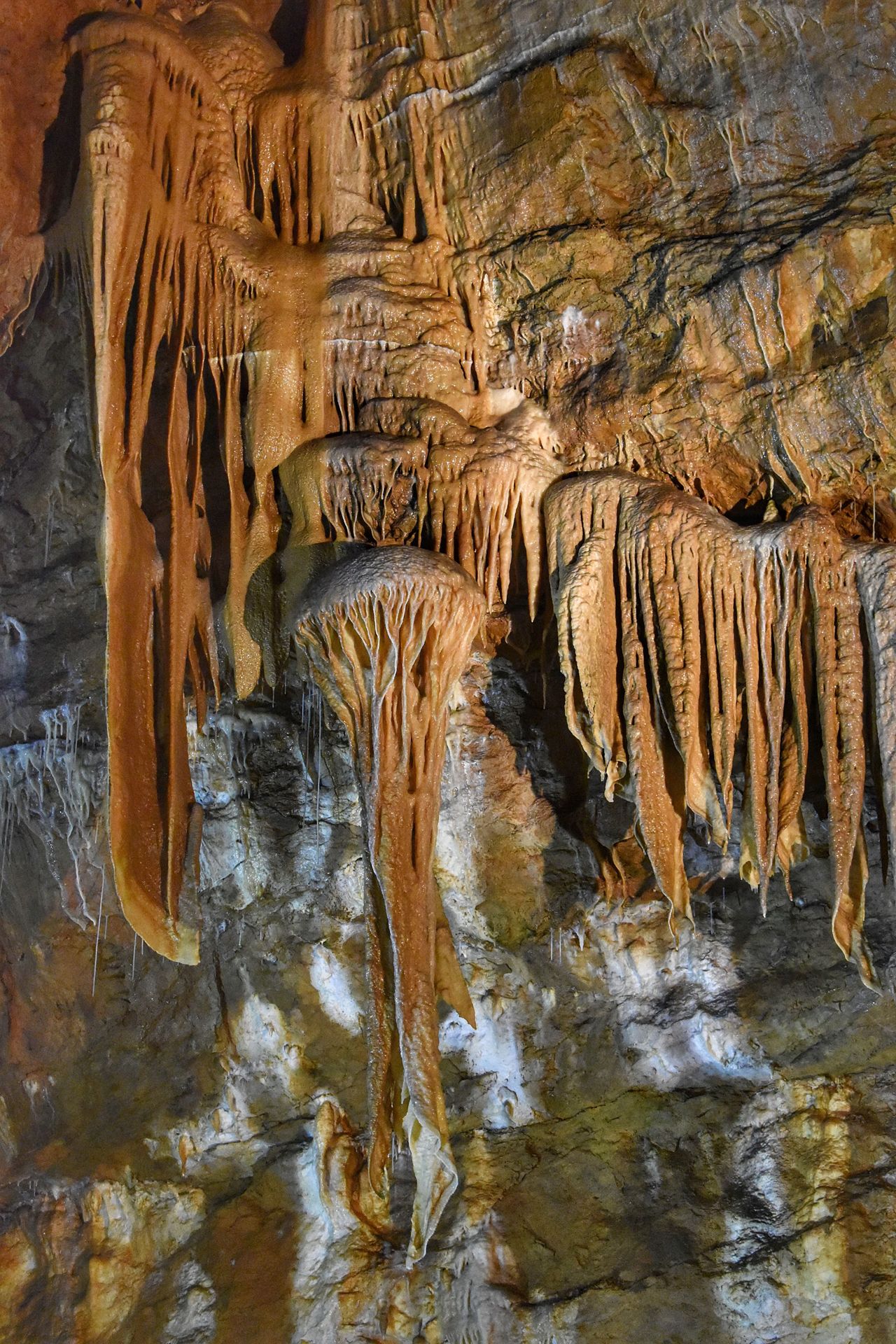 Concrétions en draperies : détail minéral dans la Grotte de Trabuc