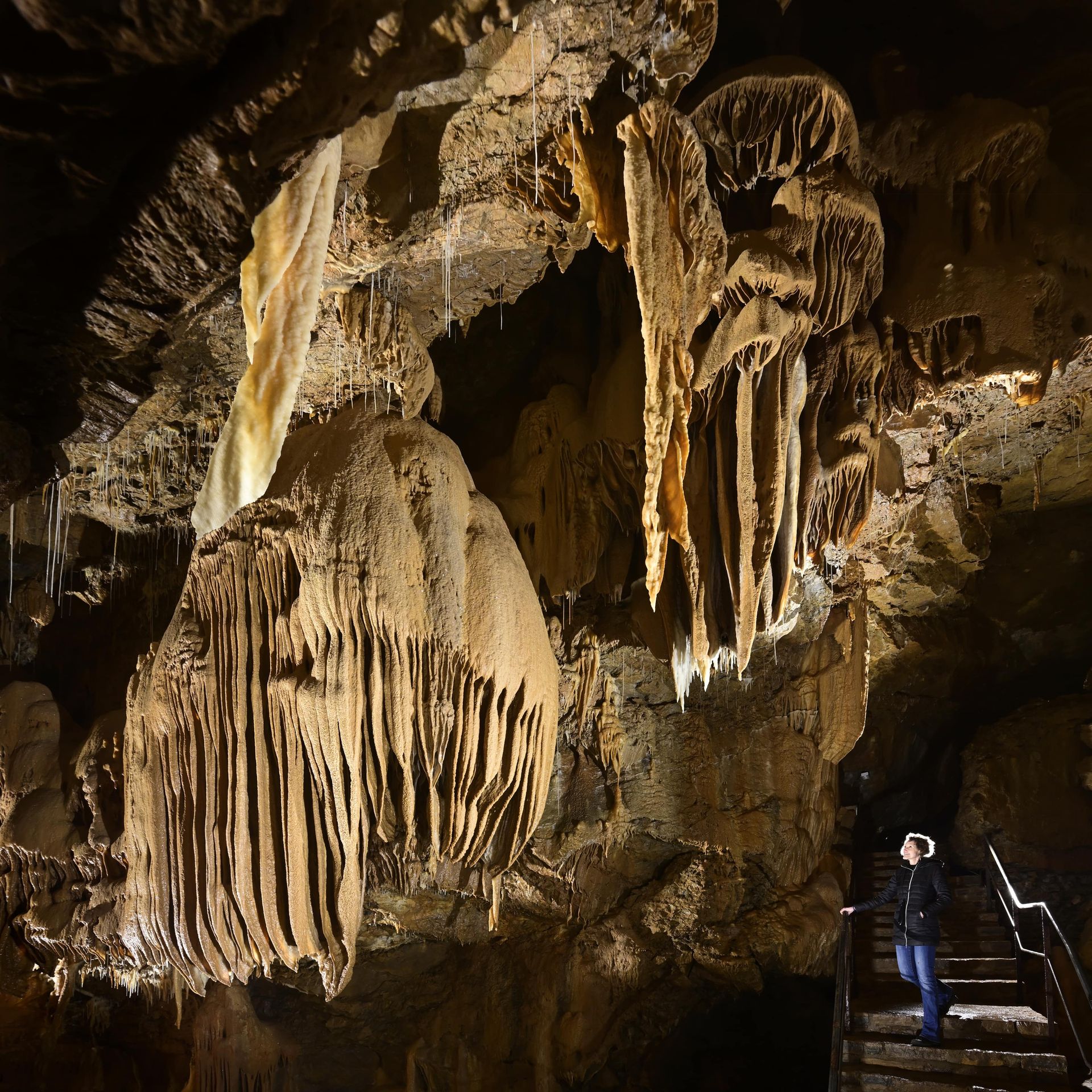 Couloir des merveilles : grandes draperies dans la Grotte de Trabuc