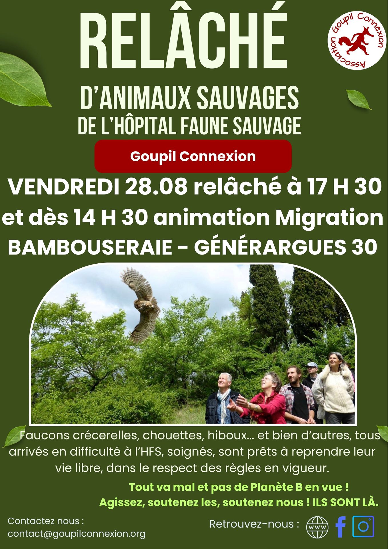 Affiche Goupil Connexion — Relâché d’animaux sauvages — 28 août 2026