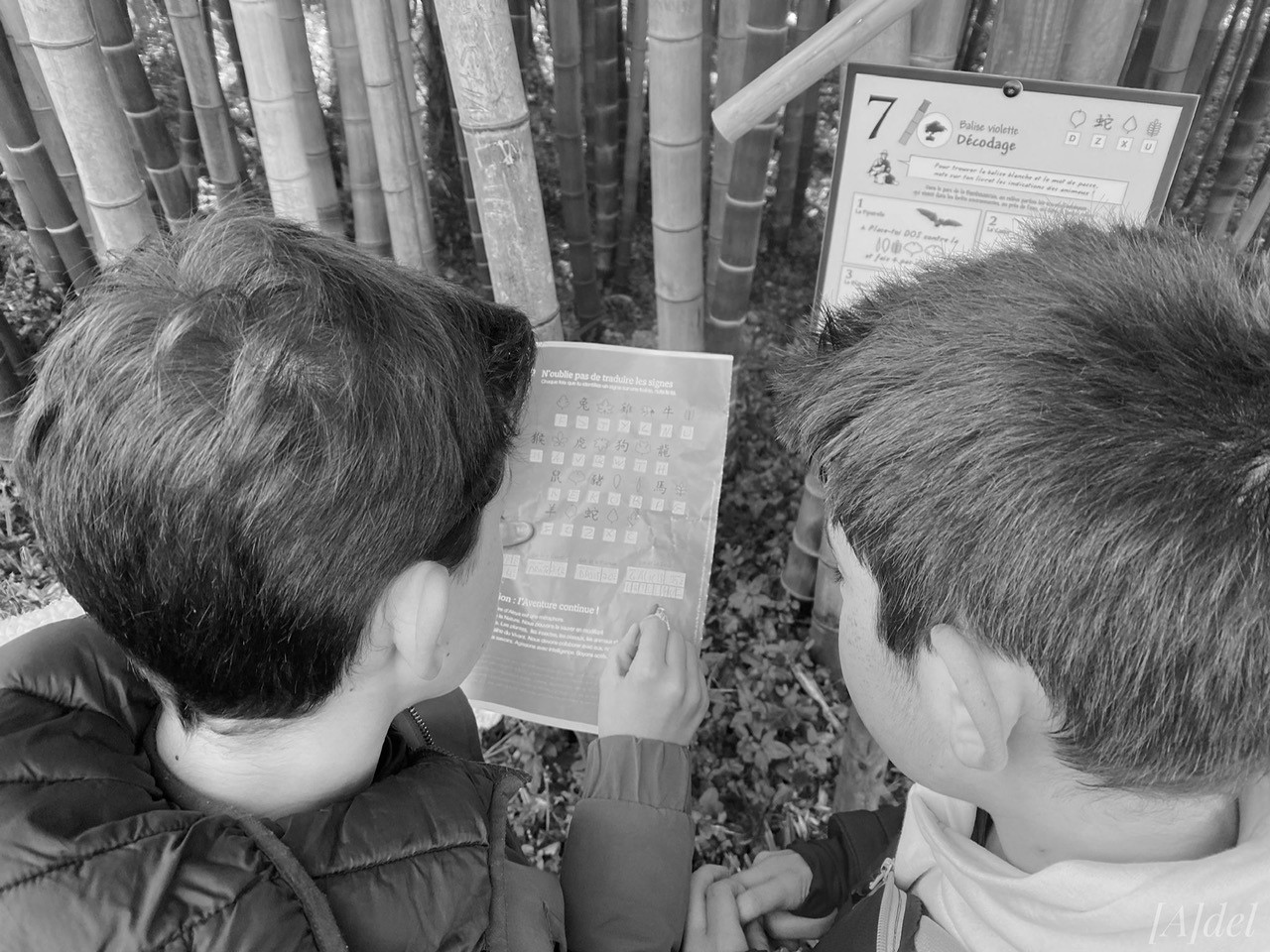 Participants coopérant pour résoudre une énigme du jeu de piste