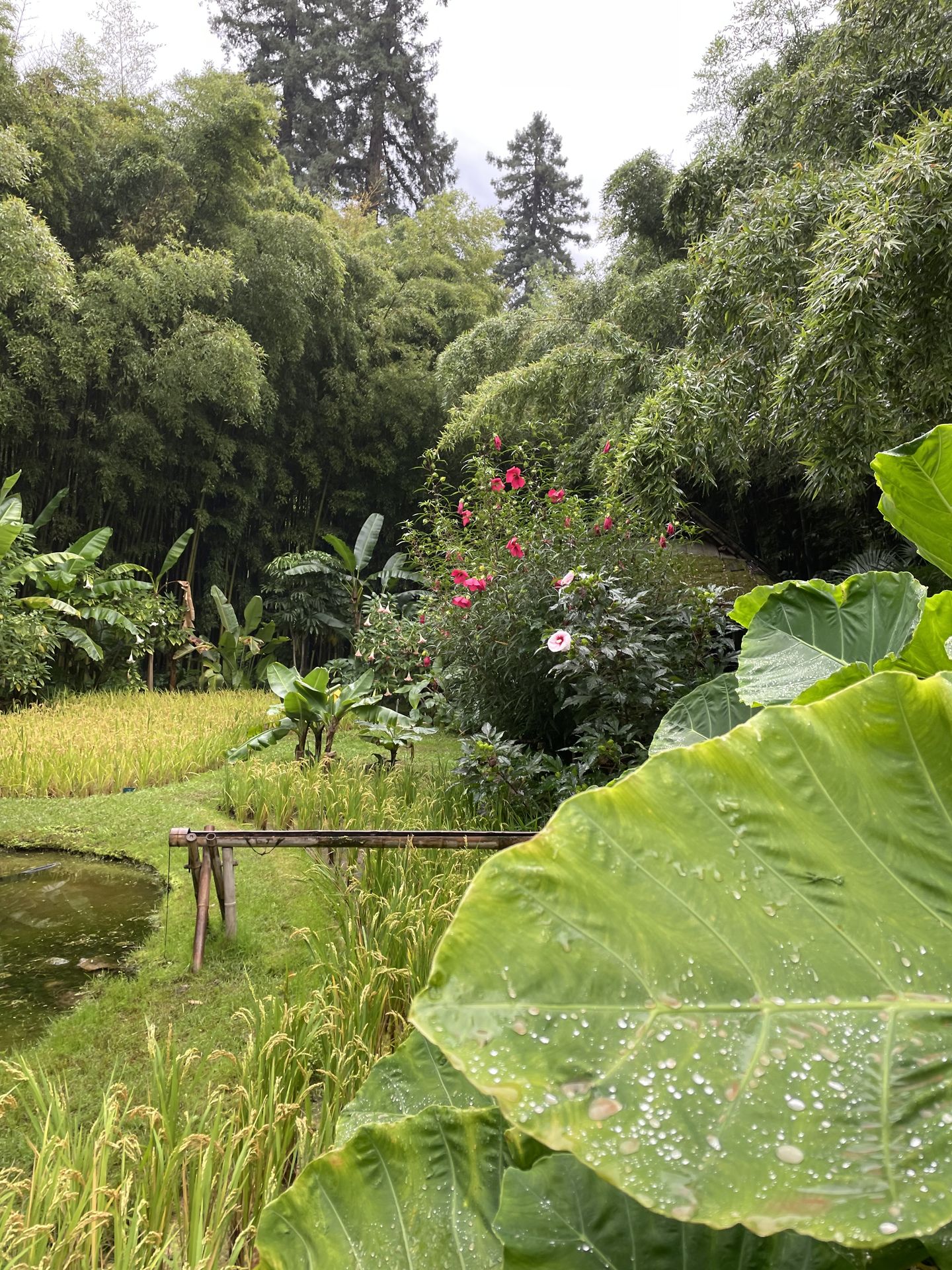 Profiter régulièrement du jardin grâce au Pass annuel