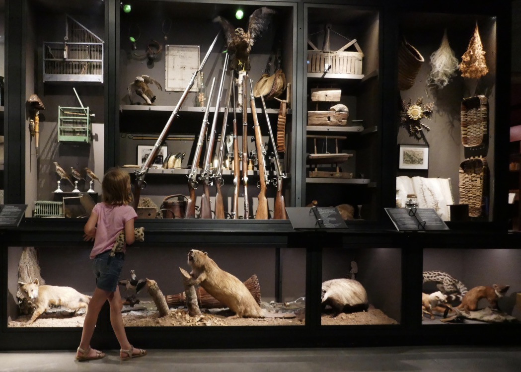 Collections de Maison Rouge – Musée des vallées cévenoles