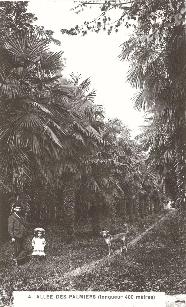 Allée des palmiers Gaston Nègre et sa fille